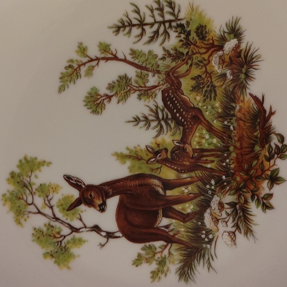 6 Bareuther Waldsassen Wildlife Transferware Porcelain Luncheon Plates - Picture 12 of 17